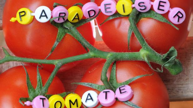 Streit der Sprachen: Paradeiser oder Tomate?