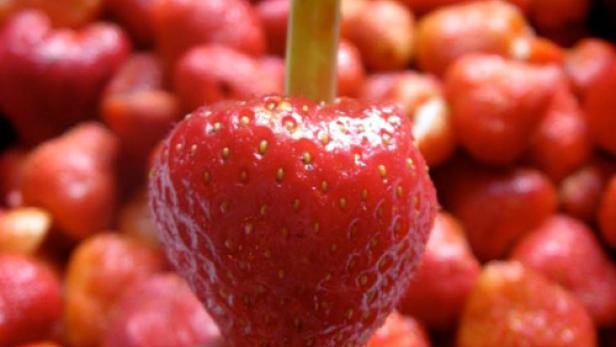 Eine Erdbeere wird mit einem Strohhalm entkernt.