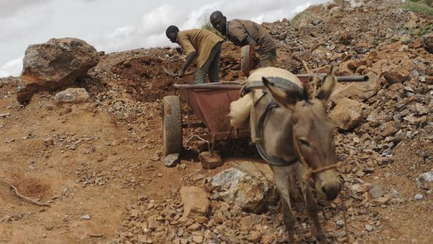 Zwei Männer schaufeln Erde in eine Schubkarre, die von einem Esel gezogen wird.