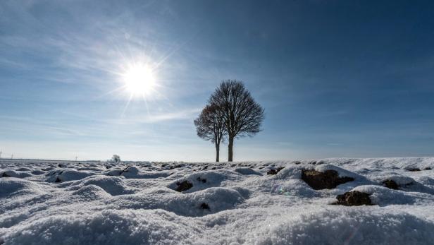 Die Sonne scheint über ein schneebedecktes Feld mit zwei Bäumen.