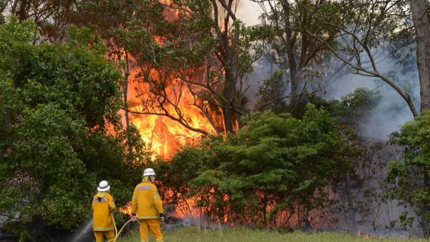 Zwei Feuerwehrleute bekämpfen einen Waldbrand mit einem Wasserschlauch.