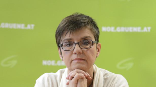 Eine Frau mit Brille und kurzem, dunklem Haar vor einem grünen Hintergrund mit dem Logo der Grünen Partei.