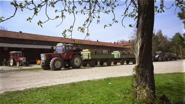 Mehrere rote Traktoren stehen vor einem landwirtschaftlichen Gebäude.