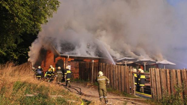 Großbrand vernichtete Tiergartengebäude. Mehrere darin untergebrachte Reptilien verbrannten.