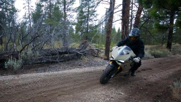 Ein Motorradfahrer fährt auf einer Schotterstraße durch einen Wald.