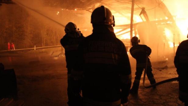 Brand im Bezirk Mödling: Hündin weckte Familie
