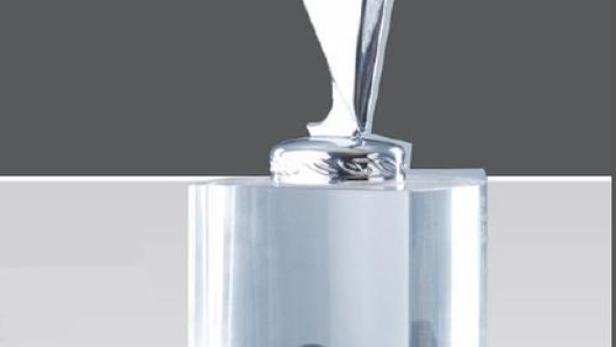 Eine Hand hält eine Trophäe in Form eines silbernen Sterns auf einem transparenten Sockel.