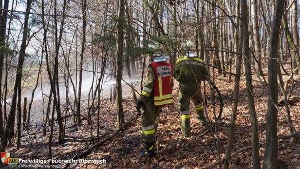 Feuerwehren hatte Waldbrand rasch unter Kontrolle, dem Brandopfer konnten sie aber nicht mehr helfen