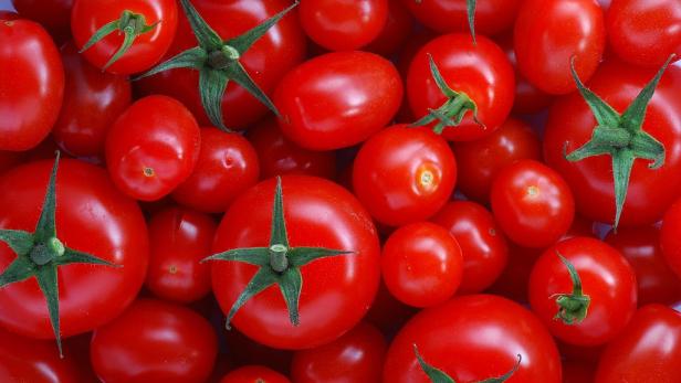 Tomatenschlacht einmal anders: Die neue Konkurrenz aus Österreich