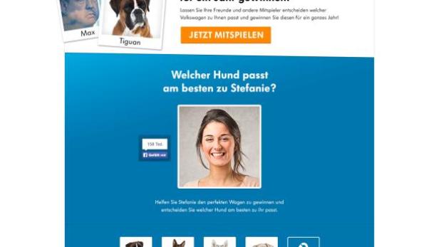 VW kombiniert Hunde-, Facebook- und Fahrzeug-Profile