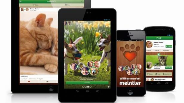 Verschiedene Smartphones und Tablets zeigen die „meintier“-App mit Katzen- und Hundebildern.
