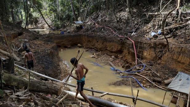 Yanomami-Indianer untersuchen eine illegale Goldmine in Brasilien.