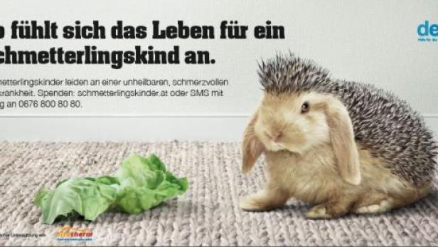 Ein Kaninchen mit einem Igel auf dem Rücken sitzt auf einem Teppich neben Salatblättern.