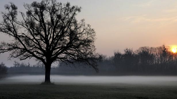 Land am Strom