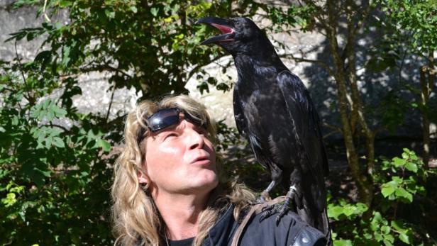 Magier Vicent Raven mit dem Raben Corax