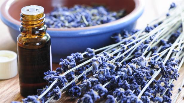 Lavendel hilft bei Stress und Anspannung.