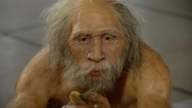 Ein Modell eines Neandertalers betrachtet einen Stein in seinen Händen.