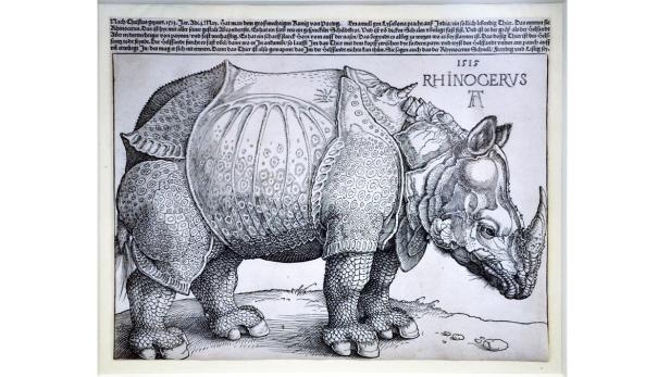 Dürers "Rhinozeros" versteigert