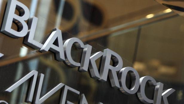 The BlackRock logo is seen outside of its offices in New York in this January 18, 2012, file photo. In previous prospectuses, the New York-based firm said a &quot;proprietary multi-factor quantitative model&quot; formed the investing strategy for its $3.7 billion Large Cap Series funds, managed by retiring Chief Equity Strategist Bob Doll. REUTERS/Shannon Stapleton/Files (UNITED STATES - Tags: BUSINESS)