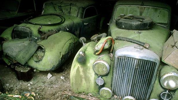Mehrere Oldtimer sind mit Moos bedeckt und stehen in einer Garage.