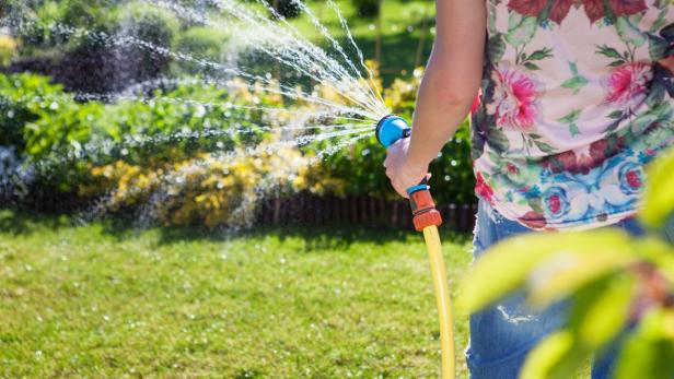 Wasser marsch: Die Alternativen zur Gießkanne