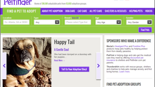 Ein Hund namens Happy Tail wird auf der Webseite Petfinder zur Adoption angeboten.
