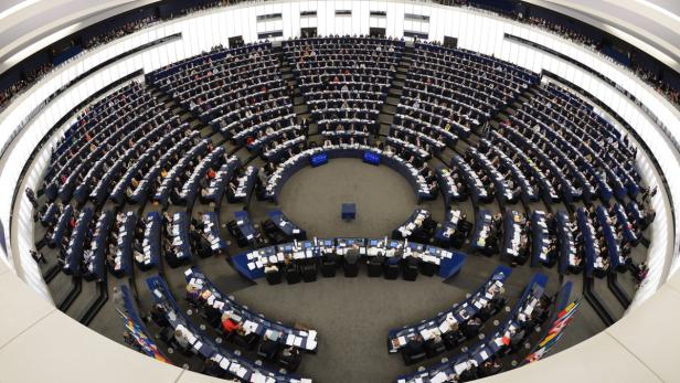 EU-Parlament mit 751 Abgeordneten ist mächtiger Mitgesetzgeber.