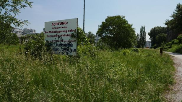 Achtung! Diese Stadtwildnis wurde von den eiligen Gentrifizierern noch nicht entwurzelt