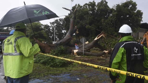 Ein umgestürzter Baum liegt quer über eine Straße, während Arbeiter die Aufräumarbeiten koordinieren.