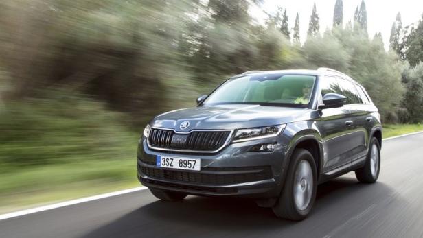 Ein grauer Škoda Kodiaq fährt auf einer Landstraße.