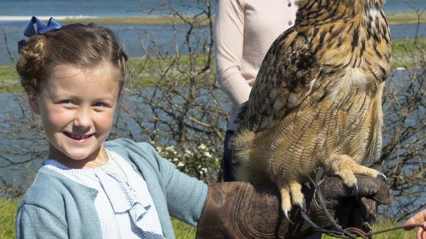 Prinzessin Isabellas erster offizieller Auftritt