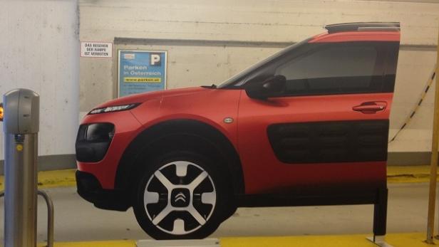 Cactus in der Parkgarage