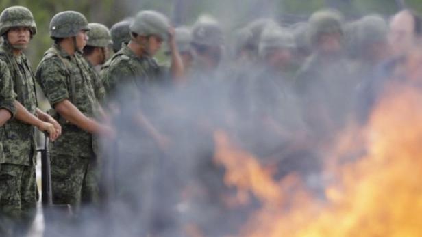 Soldiers stand in formation as a pile of marijuana and other drugs are incinerated at the 7th Military Zone on the outskirts of Monterrey June 22, 2012. More than two tonnes of narcotics, including marijuana, heroin, cocaine and pills, were incinerated as part of the Nuevo Leon-Tamaulipas anti-drug operation, according to local media. REUTERS/Daniel Becerril (MEXICO - Tags: DRUGS SOCIETY MILITARY POLITICS)