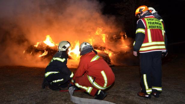 wiener neudorf brand reitstall