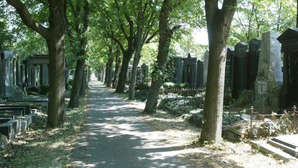 Jüdischer Friedhof mit Hakenkreuzen beschmiert