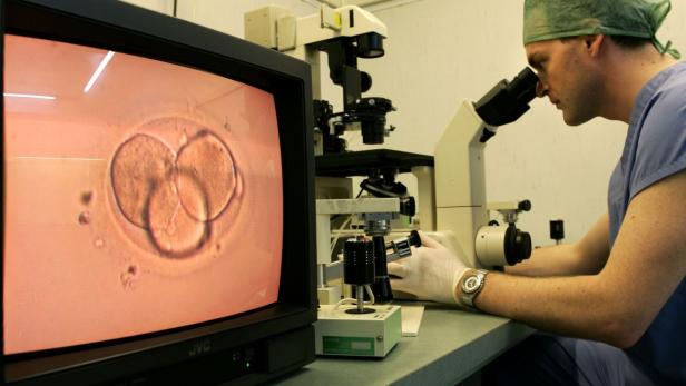 A doctor at the Alma Res fertility clinic in Rome works prepares eggs and sperm for an attempt at artificial insemination, June 7. Italians will vote this weekend on a referendum that, if passed, would significantly change a controversial fertility law that has shattered traditional political alliances and prompted the new Pope Benedict to wade into the fray. The referendum aims to relax the law, one of the most restrictive in Europe. Picture taken June 7. TO MATCH FEATURE ITALY-FERTILITY REUTERS/Alessandro Bianchi