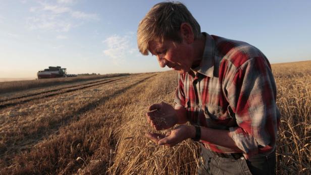 Denn Russland verfügt über rund zehn Prozent der weltweiten Anbauflächen für Getreide.