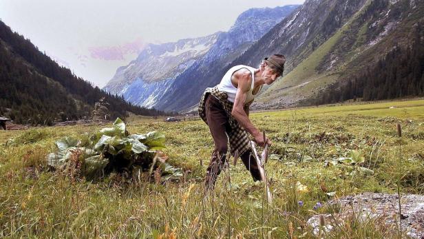 Ein älterer Mann arbeitet mit einem Werkzeug auf einer Wiese in den Bergen.
