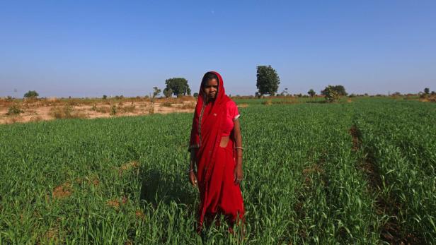 Child bride Krishna poses in a wheat field on the