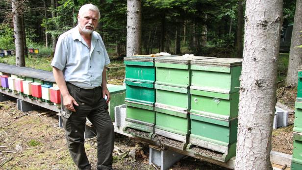 Imker Franz Willinger vor den Stöcken in Aistersheim, in denen er Hunderttausende – vermutlich durch Chemikalien – getötete Bienen fand.