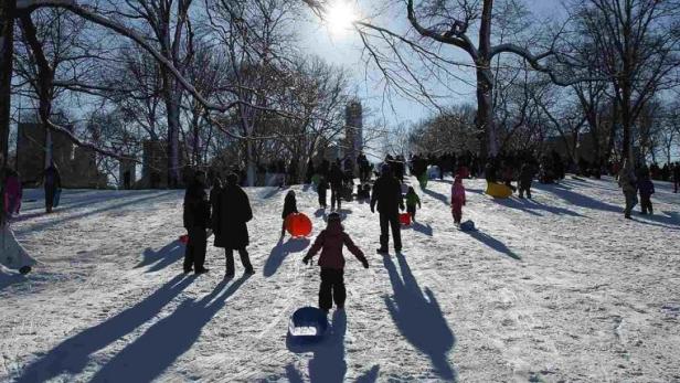 Kinder rodeln an einem sonnigen Wintertag einen Hügel hinunter.