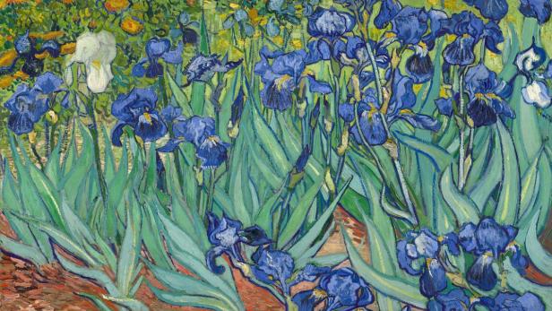 Vincent van Gogh &quot;Iris&quot;, 1889.