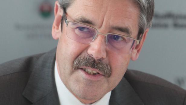 Erwin Hameseder, Chef der Raiffeisen-Holding NÖ-Wien