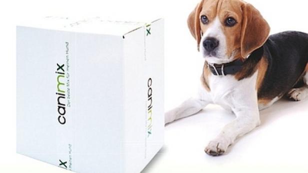 Ein Beagle liegt neben einer weißen Schachtel mit der Aufschrift „canimix“.