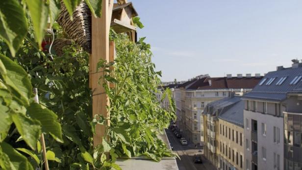 Biorama pflegt Stadtgärtner