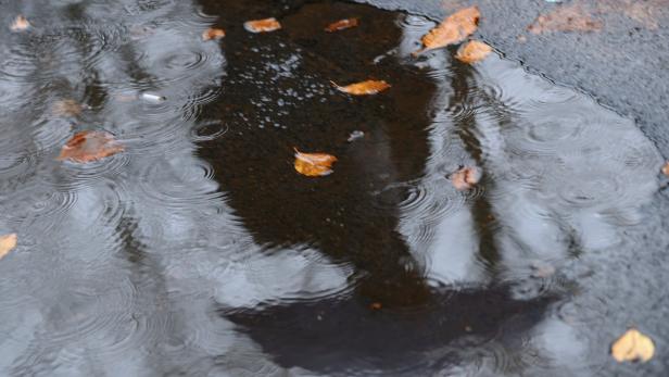 Regentropfen fallen in eine Pfütze mit Herbstlaub.