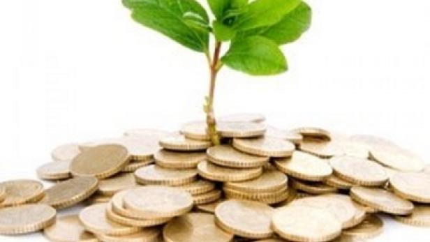 Venture Capital (c: bibby-sterilin.com