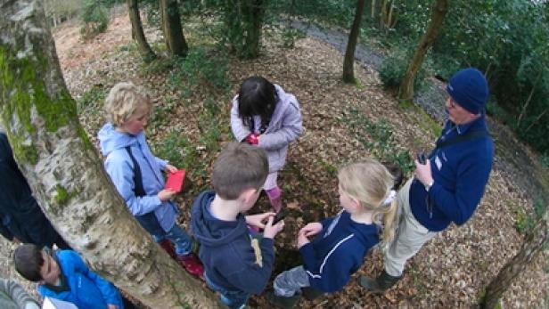 Eine Gruppe Kinder und ein Erwachsener stehen im Wald und betrachten etwas auf dem Boden.