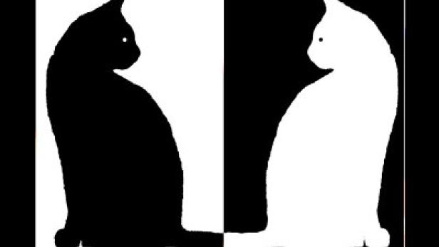 Schwarze und weisse Katze (c: AllPosters.at)