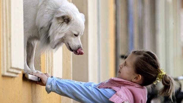 GERMANY DOG'S KISS Sechzig bis achtzig Prozent der Bissverletzungen werden von Hunden verursacht.